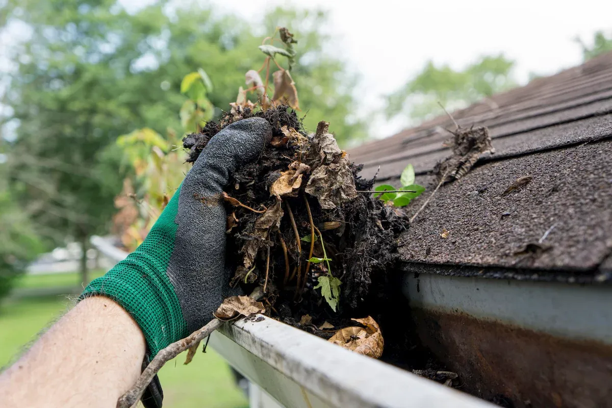 Clean gutters regularly